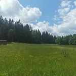 Berghaus Am Felsbruch Ot Hammerunterwiesenthal Lägenhet Oberwiesenthal