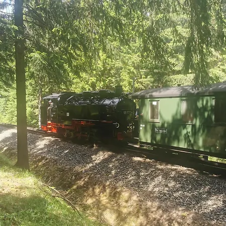 Berghaus Am Felsbruch Ot Hammerunterwiesenthal Lägenhet *