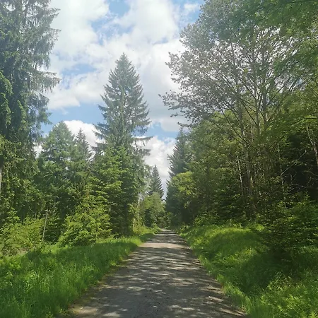 Διαμέρισμα Berghaus Am Felsbruch Ot Hammerunterwiesenthal Oberwiesenthal