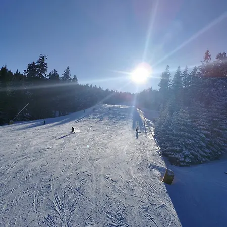 Berghaus Am Felsbruch Ot Hammerunterwiesenthal Διαμέρισμα *