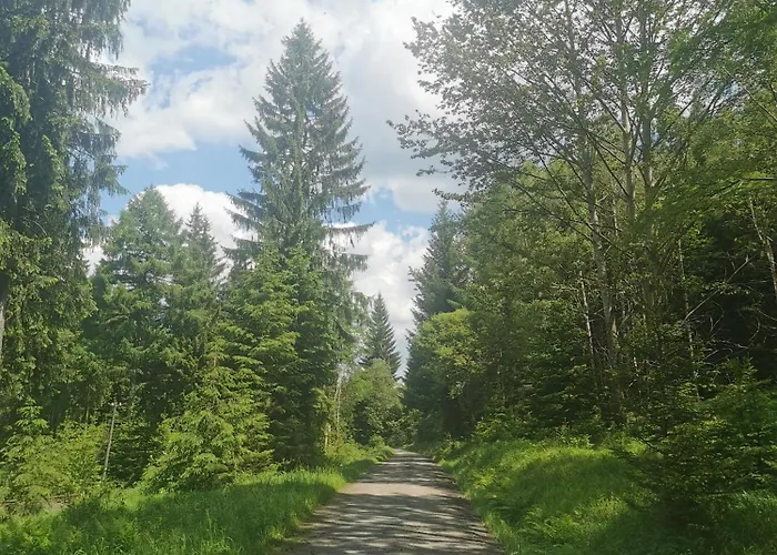 Apartment Berghaus Am Felsbruch Ot Hammerunterwiesenthal Oberwiesenthal