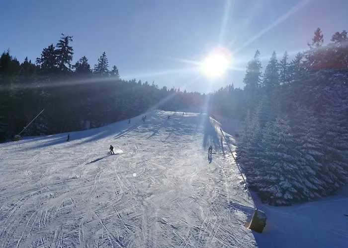 Berghaus Am Felsbruch Ot Hammerunterwiesenthal Apartment *
