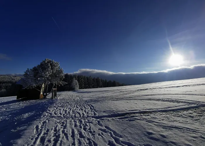 Berghaus Am Felsbruch Ot Hammerunterwiesenthal